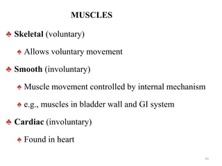 MUSCLES
♣ Skeletal (voluntary)
♠ Allows voluntary movement
♣ Smooth (involuntary)
♠ Muscle movement controlled by internal mechanism
♠ e.g., muscles in bladder wall and GI system
♣ Cardiac (involuntary)
♠ Found in heart
10
 