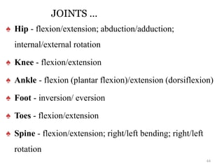 JOINTS …
♠ Hip - flexion/extension; abduction/adduction;
internal/external rotation
♠ Knee - flexion/extension
♠ Ankle - flexion (plantar flexion)/extension (dorsiflexion)
♠ Foot - inversion/ eversion
♠ Toes - flexion/extension
♠ Spine - flexion/extension; right/left bending; right/left
rotation
44
 