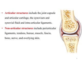 • Articular structures include the joint capsule
and articular cartilage, the synovium and
synovial fluid and intra-articular ligaments.
• Non-articular structures include periarticular
ligaments, tendons, bursae, muscle, fascia,
bone, nerve, and overlying skin.
5
 