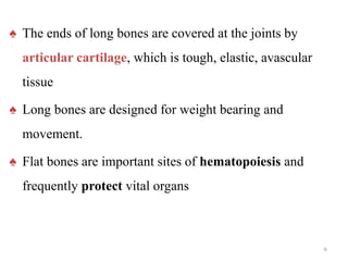 ♠ The ends of long bones are covered at the joints by
articular cartilage, which is tough, elastic, avascular
tissue
♠ Long bones are designed for weight bearing and
movement.
♠ Flat bones are important sites of hematopoiesis and
frequently protect vital organs
6
 