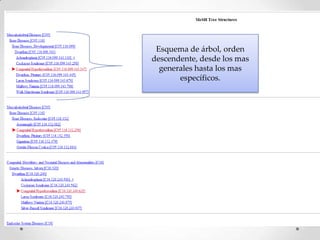 Esquema de árbol, orden
descendente, desde los mas
generales hasta los mas
específicos.

 