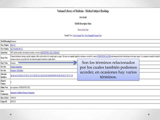 Son los términos relacionados
por los cuales también podemos
acceder, en ocasiones hay varios
términos.