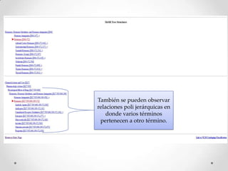 También se pueden observar
relaciones poli jerárquicas en
donde varios términos
pertenecen a otro término.