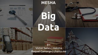 MESHA
Big
Data
BY:
Victor Salles | Hekima
Raquel Camargo | Lhama.me
 