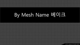 Ⓒ 2021. Juyeong Lee. All rights reserved.
By Mesh Name 베이크
 