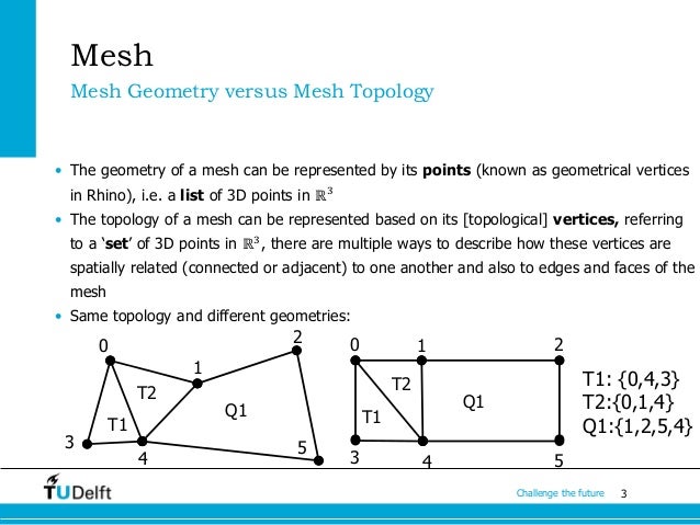 Polygon Mesh Representation