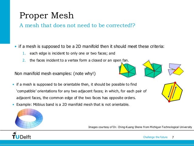 Polygon Mesh Representation