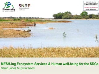 MESH-ing Ecosystem Services & Human well-being for the SDGs
Sarah Jones & Sylvia Wood
 