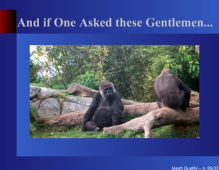 And if One Asked these Gentlemen...




                           Mesh Quality – p. 89/331
 