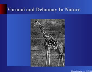 Voronoï and Delaunay In Nature




                          Mesh Quality – p. 113/331
 