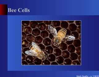 Bee Cells




            Mesh Quality – p. 118/331
 