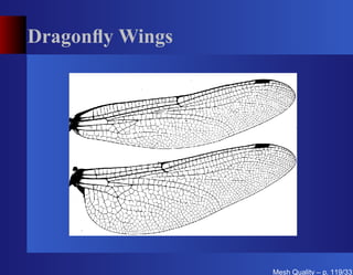 Dragonﬂy Wings




                 Mesh Quality – p. 119/331
 