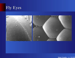 Fly Eyes




           Mesh Quality – p. 121/331
 