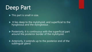Deep Part
 This part is small in size.
 It lies deep to the mylohyoid, and superficial to the
hyoglossus and the styloglossus .
 Posteriorly, it is continuous with the superficial part
around the posterior border of the mylohyoid.
 Anteriorly, it extends up to the posterior end of the
sublingual gland.
 