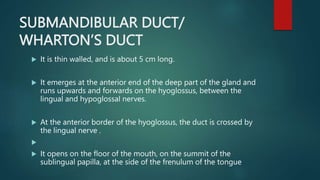 SUBMANDIBULAR DUCT/
WHARTON’S DUCT
 It is thin walled, and is about 5 cm long.
 It emerges at the anterior end of the deep part of the gland and
runs upwards and forwards on the hyoglossus, between the
lingual and hypoglossal nerves.
 At the anterior border of the hyoglossus, the duct is crossed by
the lingual nerve .

 It opens on the floor of the mouth, on the summit of the
sublingual papilla, at the side of the frenulum of the tongue
 