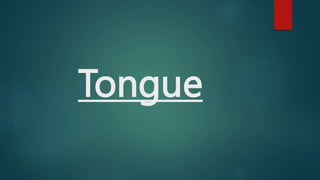 Tongue
 