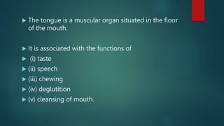  The tongue is a muscular organ situated in the floor
of the mouth.
 It is associated with the functions of
 (i) taste
 (ii) speech
 (iii) chewing
 (iv) deglutition
 (v) cleansing of mouth.
 