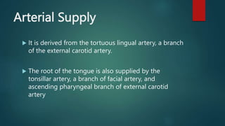 Arterial Supply
 It is derived from the tortuous lingual artery, a branch
of the external carotid artery.
 The root of the tongue is also supplied by the
tonsillar artery, a branch of facial artery, and
ascending pharyngeal branch of external carotid
artery
 