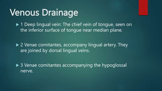 Venous Drainage
 1 Deep lingual vein: The chief vein of tongue, seen on
the inferior surface of tongue near median plane.
 2 Venae comitantes, accompany lingual artery. They
are joined by dorsal lingual veins.
 3 Venae comitantes accompanying the hypoglossal
nerve.
 