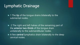 Lymphatic Drainage
 1 The tip of the tongue drains bilaterally to the
submental nodes.
 2 The right and left halves of the remaining part of
the anterior two-thirds of the tongue drain
unilaterally to the submandibular nodes.
 A few central lymphatics drain bilaterally to the deep
cervical nodes.
 