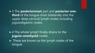  3 The posteriormost part and posterior one-
third of the tongue drain bilaterally into the
upper deep cervical lymph nodes including
jugulodigastric nodes.
 4 The whole lymph finally drains to the
jugulo-omohyoid nodes.
 These are known as the lymph nodes of the
tongue.
 