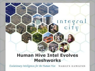 Human Hive Intel Evolves
     Meshworks
         ©Marilyn Hamilton PhD CGA
 