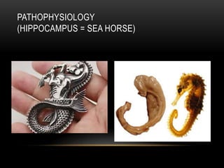 PATHOPHYSIOLOGY
(HIPPOCAMPUS = SEA HORSE)
 