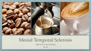 Mesial Temporal Sclerosis
Approach to focal epilepsy
 

Tee Ty
 