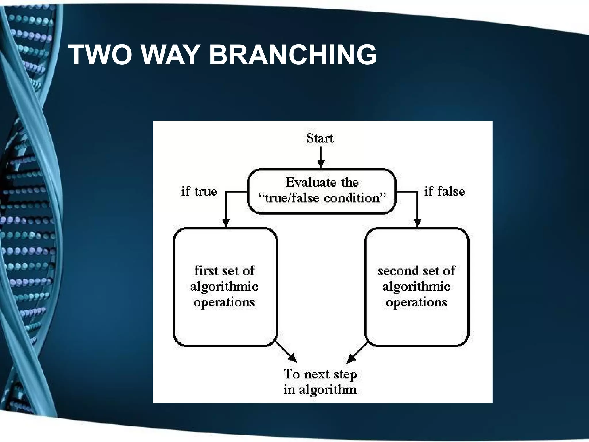 TWO WAY BRANCHING 