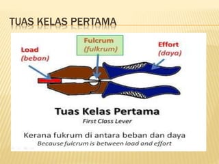 TUAS KELAS PERTAMA
 