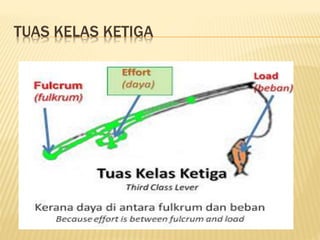 TUAS KELAS KETIGA
 