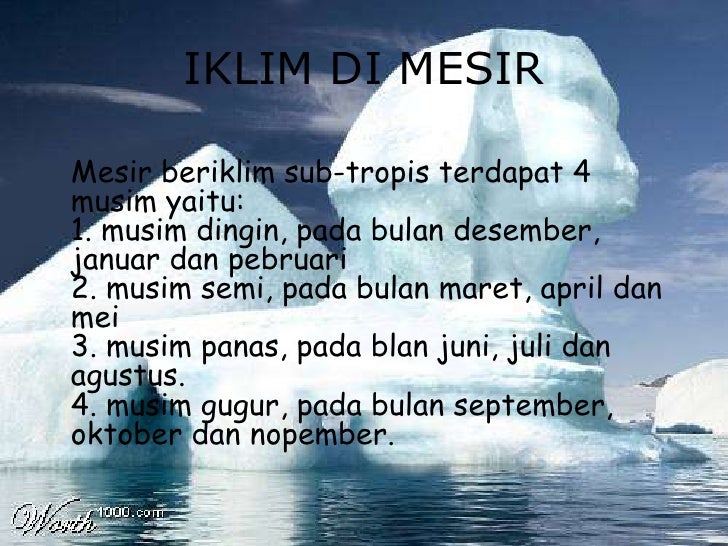Mesir