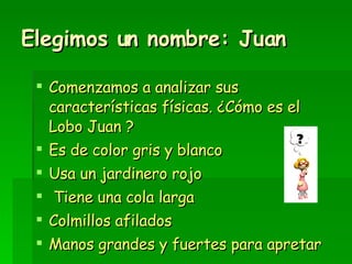 Elegimos un nombre: Juan Comenzamos a analizar sus características físicas. ¿Cómo es el Lobo Juan ? Es de color gris y blanco Usa un jardinero rojo Tiene una cola larga Colmillos afilados Manos grandes y fuertes para apretar 