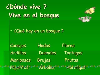 ¿Dónde vive ?  Vive en el bosque ¿Qué hay en un bosque ? Conejos  Hadas  Flores Ardillas  Duendes  Tortugas  Mariposas  Brujas  Frutas Pajaritos  Árboles  Hormigas 