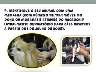9. Identifique o seu animal com uma
medalha (com número de telemóvel do
dono ou morada) e através do microchip
(atualmente obrigatório para cães nascidos
a partir de 1 de Julho de 2008).
 