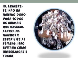 10. Lembre-
se: não há
mesmo dono
para todos
os animais
que nascem.
Castre os
machos e
esterilize as
fêmeas. Isso
evitará crias
indesejadas e
trará
 