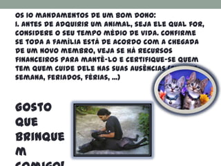 Os 10 mandamentos de um bom dono:
1. Antes de adquirir um animal, seja ele qual for,
considere o seu tempo médio de vida. Confirme
se toda a família está de acordo com a chegada
de um novo membro, veja se há recursos
financeiros para mantê-lo e certifique-se quem
tem quem cuide dele nas suas ausências (fins-de-
semana, feriados, férias, ...)



Gosto
que
brinque
m
 