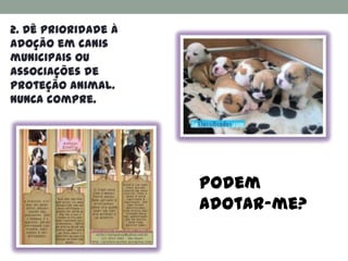 2. Dê prioridade à
adoção em canis
municipais ou
associações de
proteção animal.
NUNCA compre.




                     Podem
                     adotar-me?
 