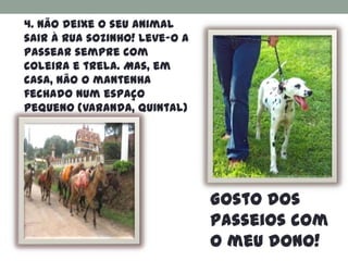 4. Não deixe o seu animal
sair à rua sozinho! Leve-o a
passear sempre com
coleira e trela. Mas, em
casa, não o mantenha
fechado num espaço
pequeno (varanda, quintal)
e muito menos
acorrentado.




                               Gosto dos
                               passeios com
                               o meu dono!
 