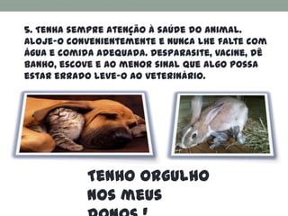5. Tenha sempre atenção à saúde do animal.
Aloje-o convenientemente e nunca lhe falte com
água e comida adequada. Desparasite, vacine, dê
banho, escove e ao menor sinal que algo possa
estar errado leve-o ao veterinário.




            Tenho orgulho
            nos meus
 
