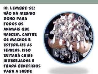10. Lembre-se:
não há mesmo
dono para
todos os
animais que
nascem. Castre
os machos e
esterilize as
fêmeas. Isso
evitará crias
indesejadas e
trará benefícios
para a saúde
 