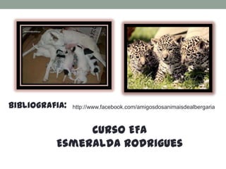 Bibliografia:   http://www.facebook.com/amigosdosanimaisdealbergaria



               Curso EFA
          Esmeralda Rodrigues
 