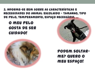 3. Informe-se bem sobre as características e
necessidades do animal escolhido – tamanho, tipo
de pelo, temperamento, espaço necessário, …
  O meu pelo
  gosta de ser
  cuidado!



                               Podem soltar-
                               me? Quero o
                               meu espaço!
 