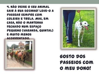 4. Não deixe o seu animal
sair à rua sozinho! Leve-o a
passear sempre com
coleira e trela. Mas, em
casa, não o mantenha
fechado num espaço
pequeno (varanda, quintal)
e muito menos
acorrentado.




                               Gosto dos
                               passeios com
                               o meu dono!
 
