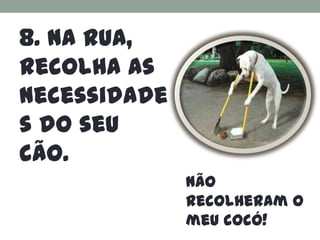 8. Na rua,
recolha as
necessidade
s do seu
cão.
              Não
              recolheram o
              meu cocó!
 