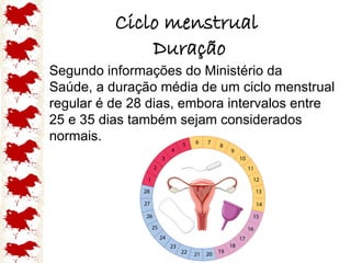 Ciclo menstrual
Duração
Segundo informações do Ministério da
Saúde, a duração média de um ciclo menstrual
regular é de 28 dias, embora intervalos entre
25 e 35 dias também sejam considerados
normais.
 