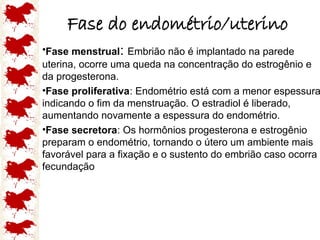 Fase do endométrio/uterino
•Fase menstrual: Embrião não é implantado na parede
uterina, ocorre uma queda na concentração do estrogênio e
da progesterona.
•Fase proliferativa: Endométrio está com a menor espessura
indicando o fim da menstruação. O estradiol é liberado,
aumentando novamente a espessura do endométrio.
•Fase secretora: Os hormônios progesterona e estrogênio
preparam o endométrio, tornando o útero um ambiente mais
favorável para a fixação e o sustento do embrião caso ocorra
fecundação
 
