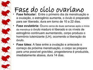 Fase do ciclo ovariano
• Fase folicular: Entre o primeiro dia da menstruação e
a ovulação, o estrogênio aumenta, o óvulo é preparado
para ser liberado, dura em torno de 10 a 22 dias.
• Fase ovulatória: Ocorre cerca de duas semanas após o início
da menstrua o óvulo maduro é liberado e os níveis de
estrogênio continuam aumentando, corpo produza o
hormônio luteinizante (LH), ocorrendo a liberação do
óvulo.
• Fase lútea: A fase entre a ovulação e antecede o
começo da próxima menstruação, o corpo se prepara
para uma possível gravidez, progesterona é produzida,
imediatamente abaixa, dura 14 dias.
 