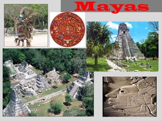 Mayas
 