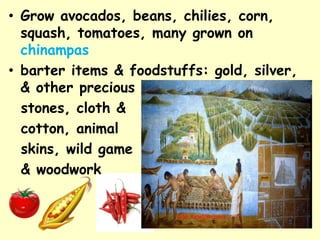 • Grow avocados, beans, chilies, corn,
  squash, tomatoes, many grown on
  chinampas
• barter items & foodstuffs: gold, silver,
  & other precious
  stones, cloth &
  cotton, animal
  skins, wild game
  & woodwork
 